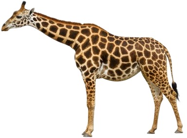 gi gi gi gi gi gi gi gi gi gi gi gi gi gi gi gi gi gi gi gi 1.jpg